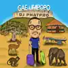 DJ Phatpro - Gae Limpopo - Single